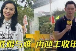梅州最新爆料消息新闻,揭秘当地热点事件背后的真相